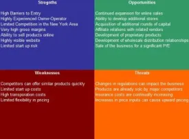 Snow Plowing Service SWOT Analysis Plus Business Plan
