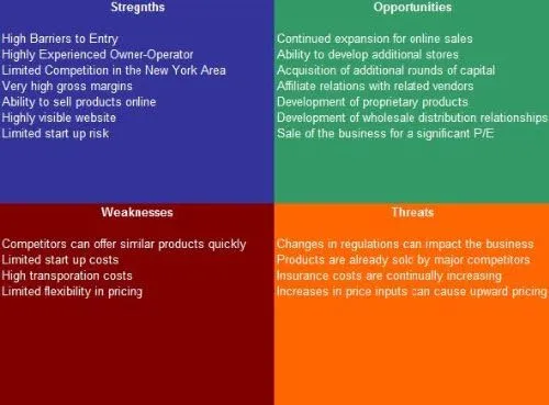 Snow Plowing Service SWOT Analysis Plus Business Plan